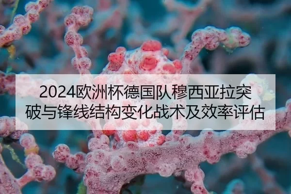 ou-zhou-bei-de-guo-dui-mu-xi-ya-la-tu-po-yu-feng-xian-jie-gou-bian-hua-zhan-shu-ji-xiao-lv-ping-gu-2-872.jpg